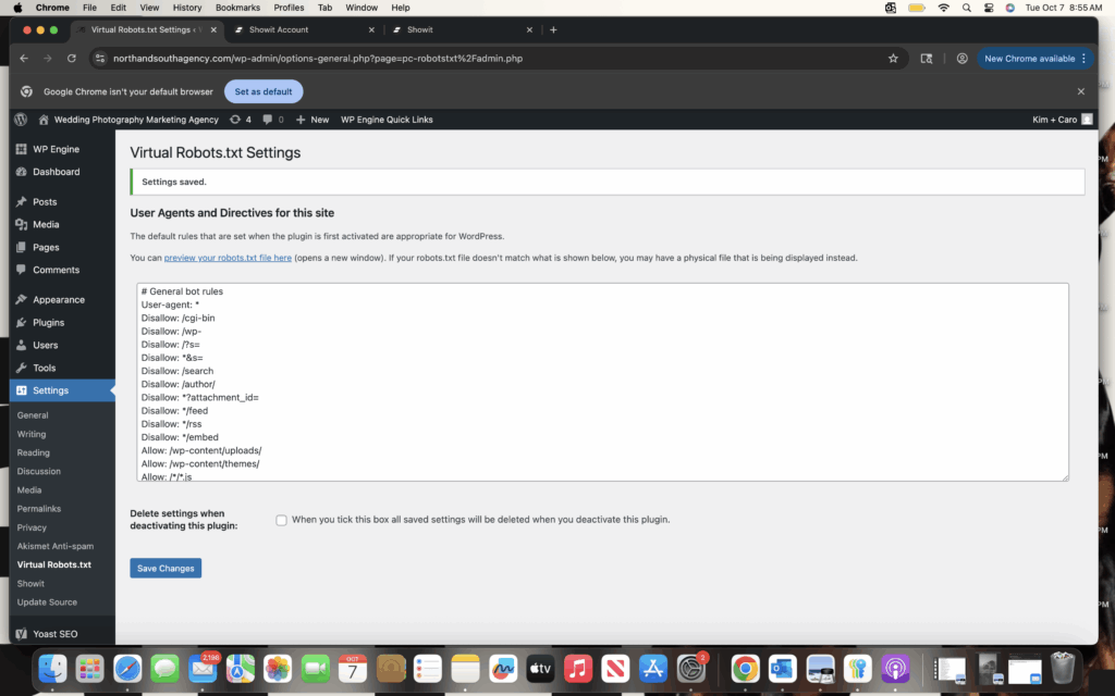 Screenshot of where to edit the robot.txt in Showit.
